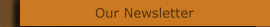 Our Newsletter