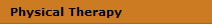 Physical Therapy